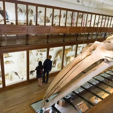 Gare - Jardin Des Plantes - Wifi & Calme *