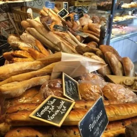 Gare - Jardin Des Plantes - Wifi & Calme