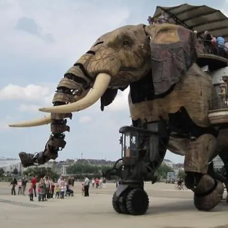 Gare - Jardin Des Plantes - Wifi & Calme Apartment