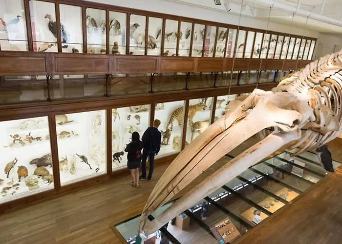 Gare - Jardin Des Plantes - Wifi & Calme *